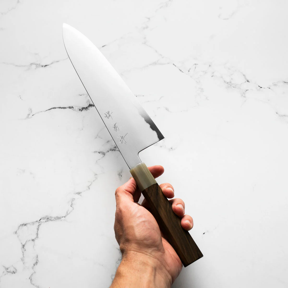 Y.Tanaka x Sakai Kikumori Blue 2 Gyuto 255mm - Persimmon - Image 3