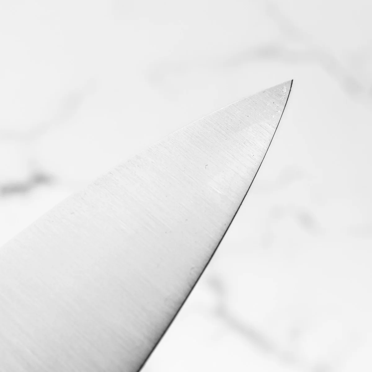 Sakai Kikumori Swedish Stainless Gyuto 240mm - Sandalwood - Image 7